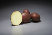 Семенной картофель из Германии